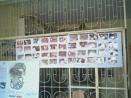                             GAMOU ANNUEL   2006